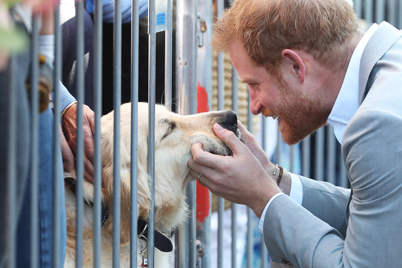 Prince-Harry-Puppies