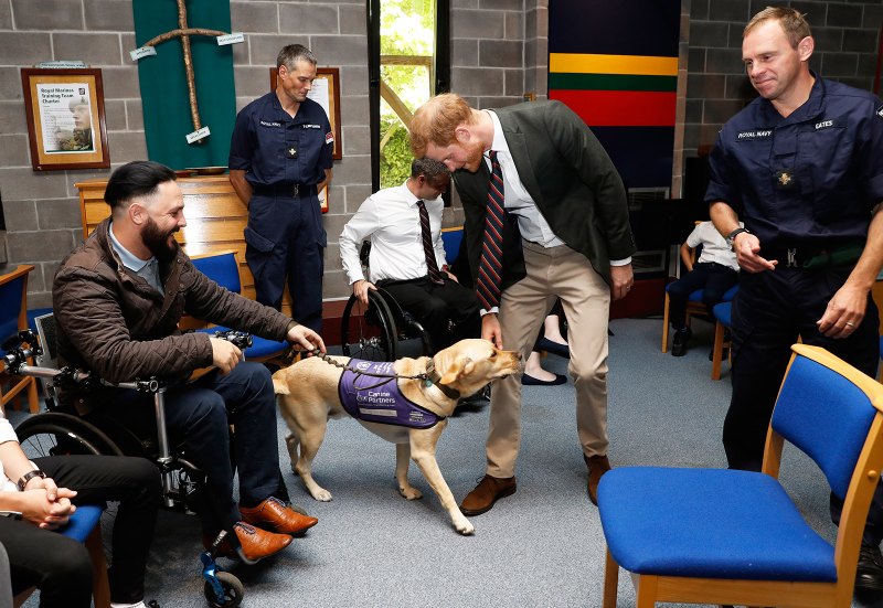 Prince-Harry-Puppies