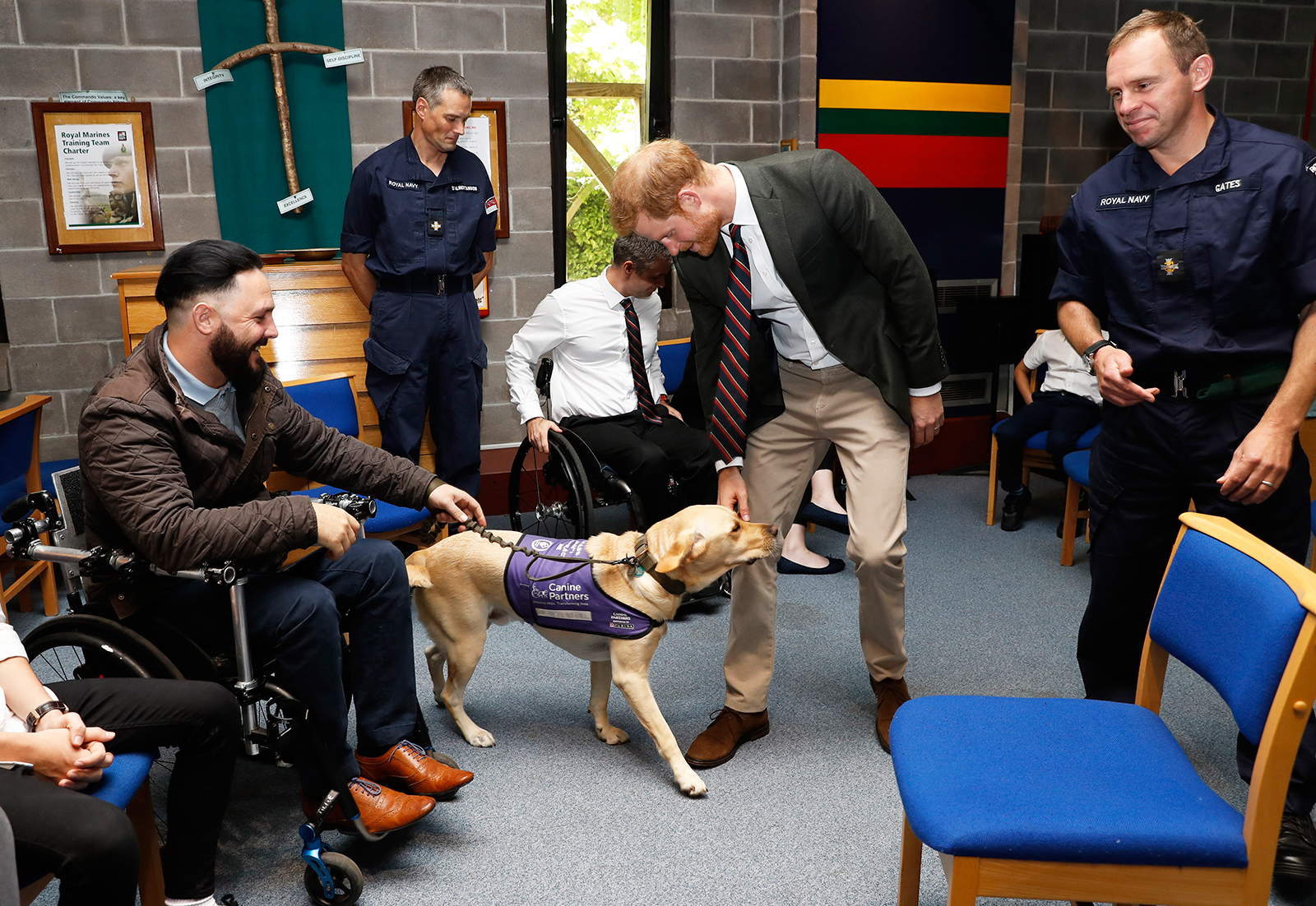 Prince-Harry-Puppies