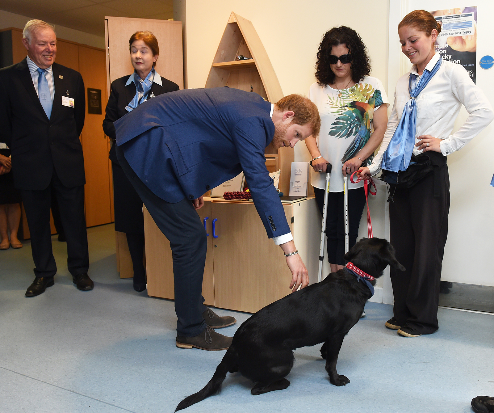 Prince-Harry-Puppies