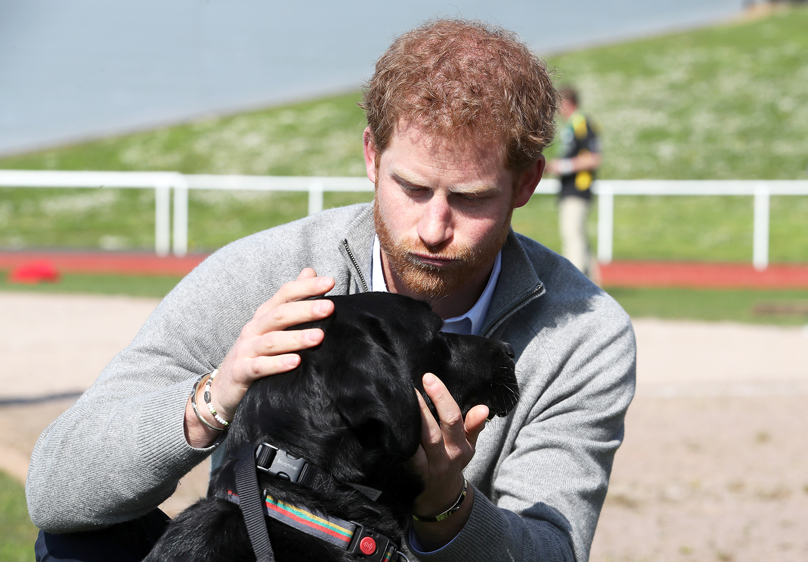 Prince-Harry-Puppies