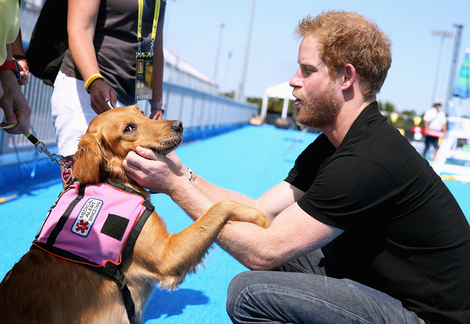 Prince-Harry-Puppies