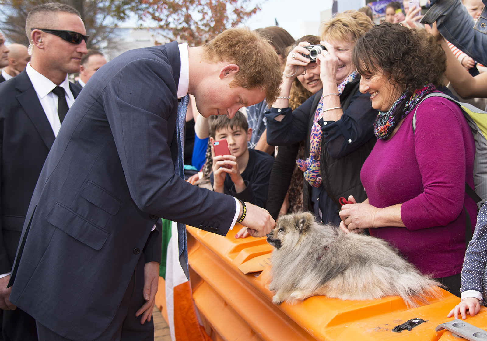 Prince-Harry-Puppies