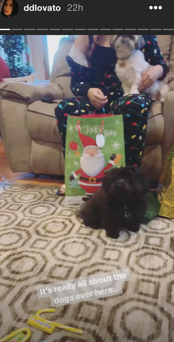 Demi Lovato's Christmas