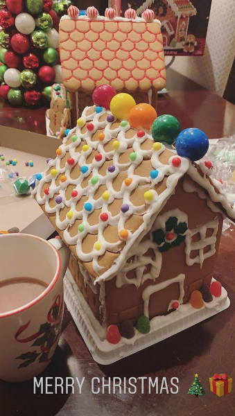 Demi Lovato's gingerbread house