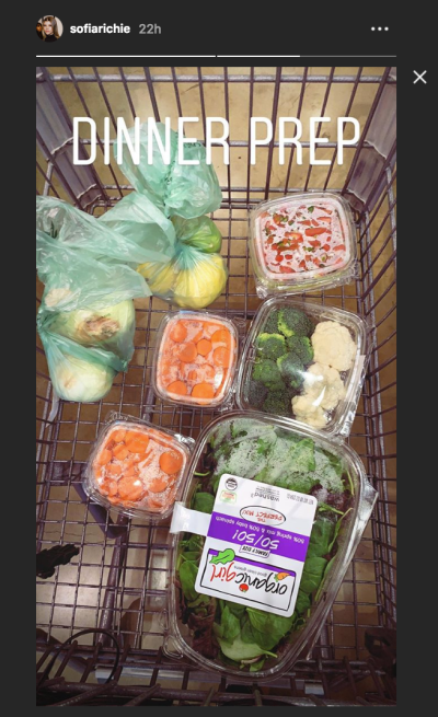 Sofia Richie, Dinner Prep, Instagram