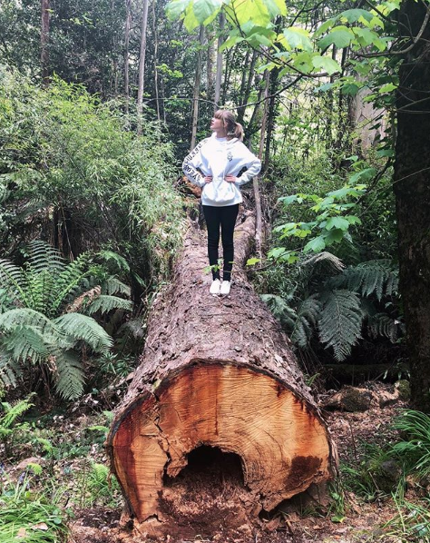 Taylor Swift in the woods