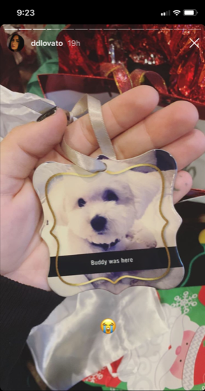 demi-lovato-christmas-post-rehab