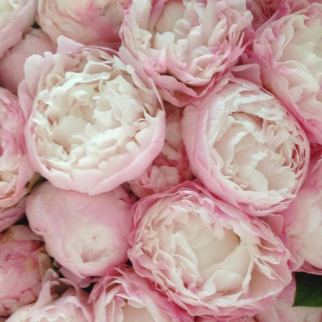 fake-peonies-Khloe-Kardashian