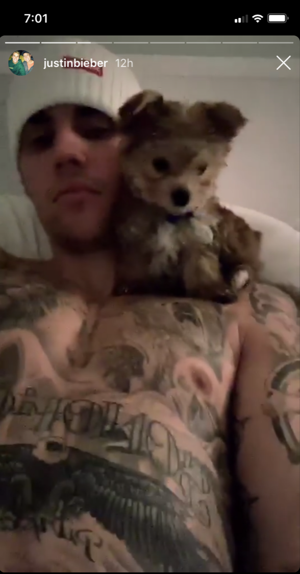justin-beiber-hailey-baldwin-dog-oscar-christmas