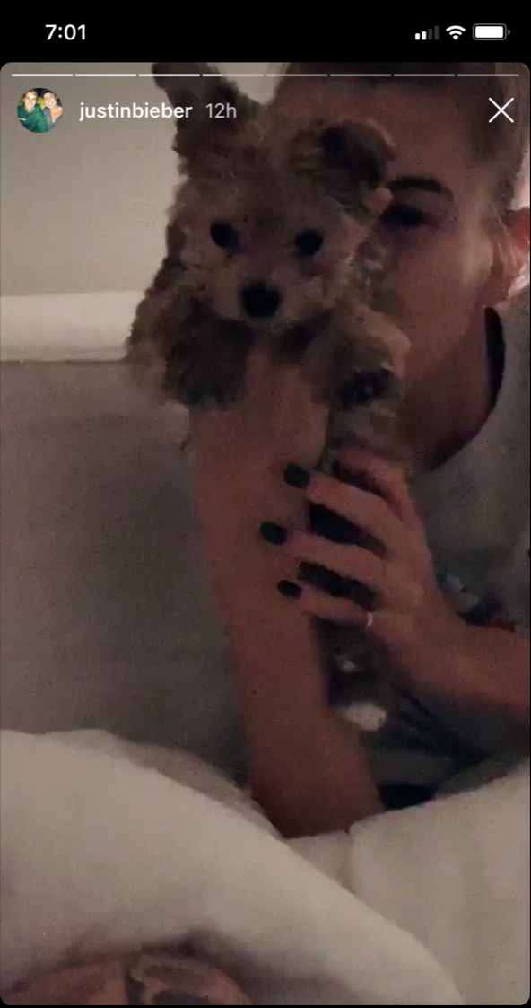 justin-beiber-hailey-baldwin-dog-oscar-christmas