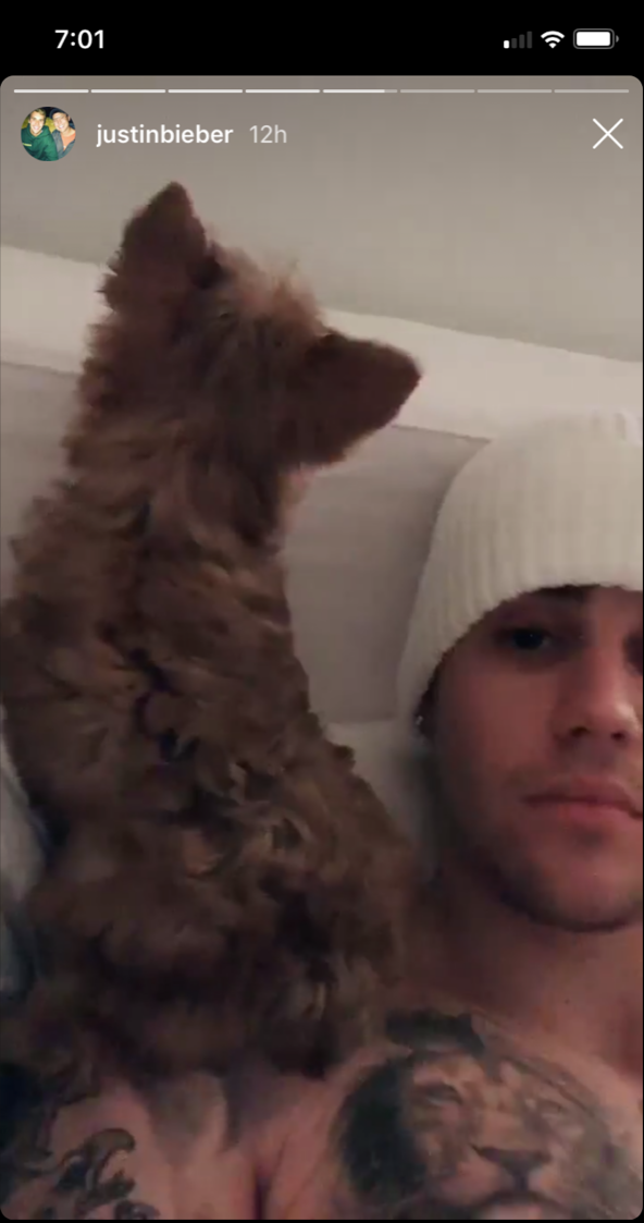 justin-beiber-hailey-baldwin-dog-oscar-christmas