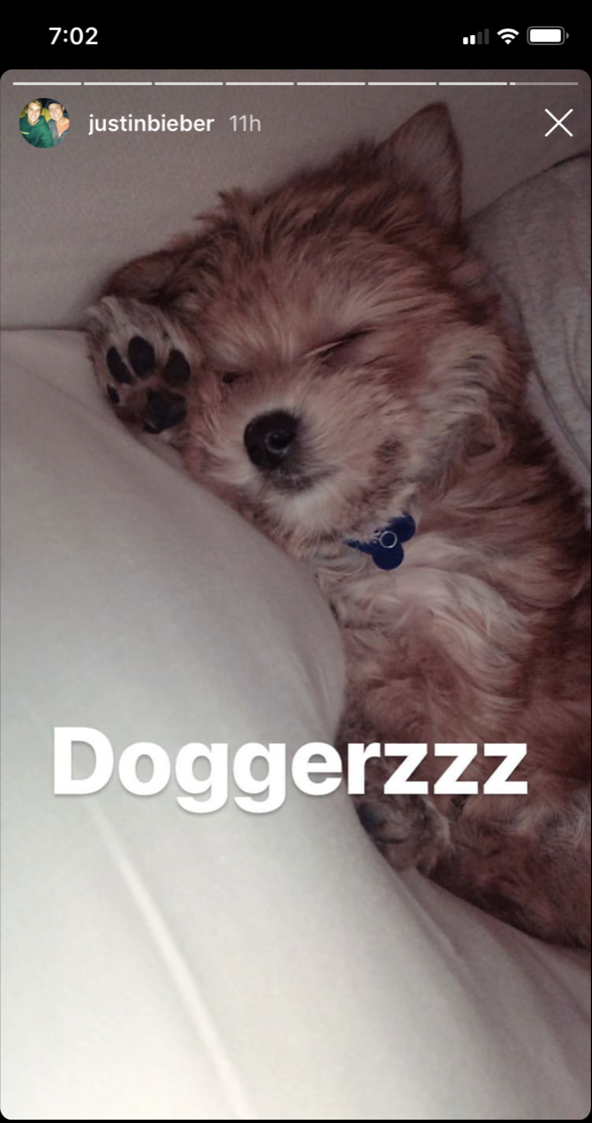 justin-beiber-hailey-baldwin-dog-oscar-christmas