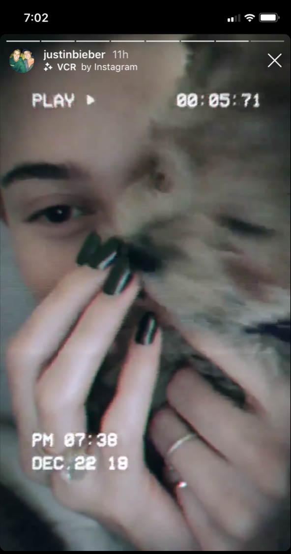 justin-beiber-hailey-baldwin-dog-oscar-christmas