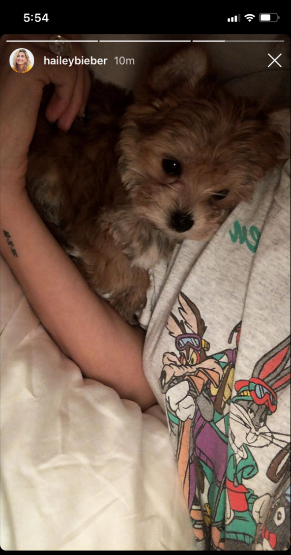 justin-beiber-hailey-baldwin-dog-oscar-christmas