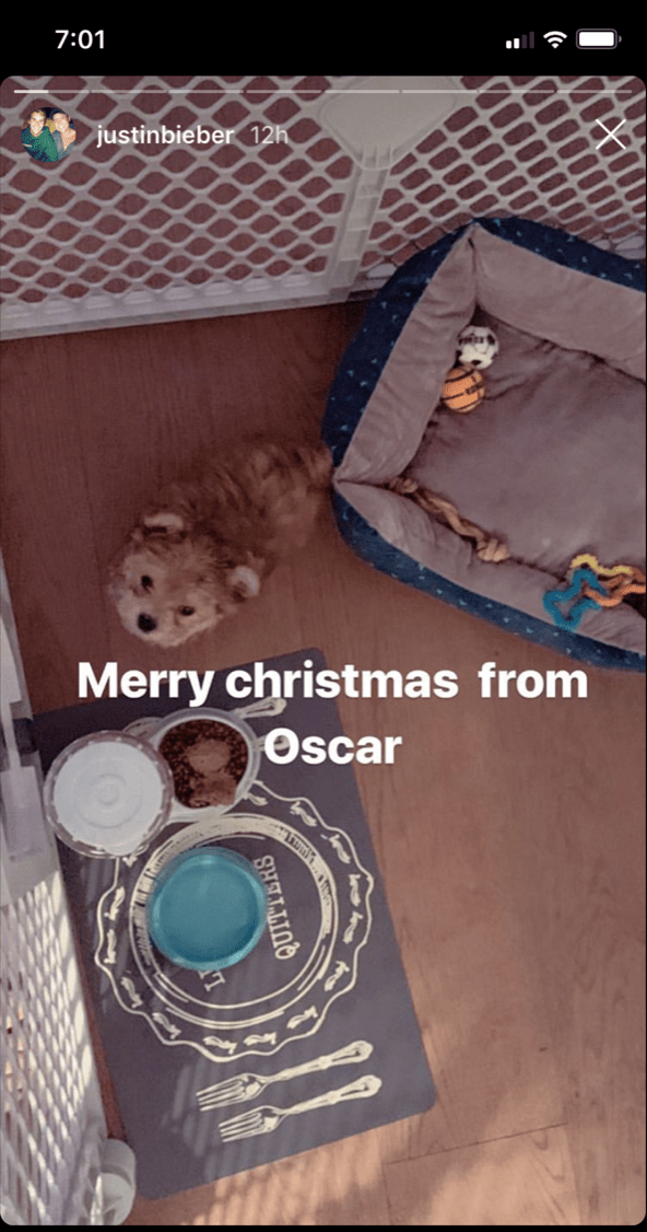justin-beiber-hailey-baldwin-dog-oscar-christmas