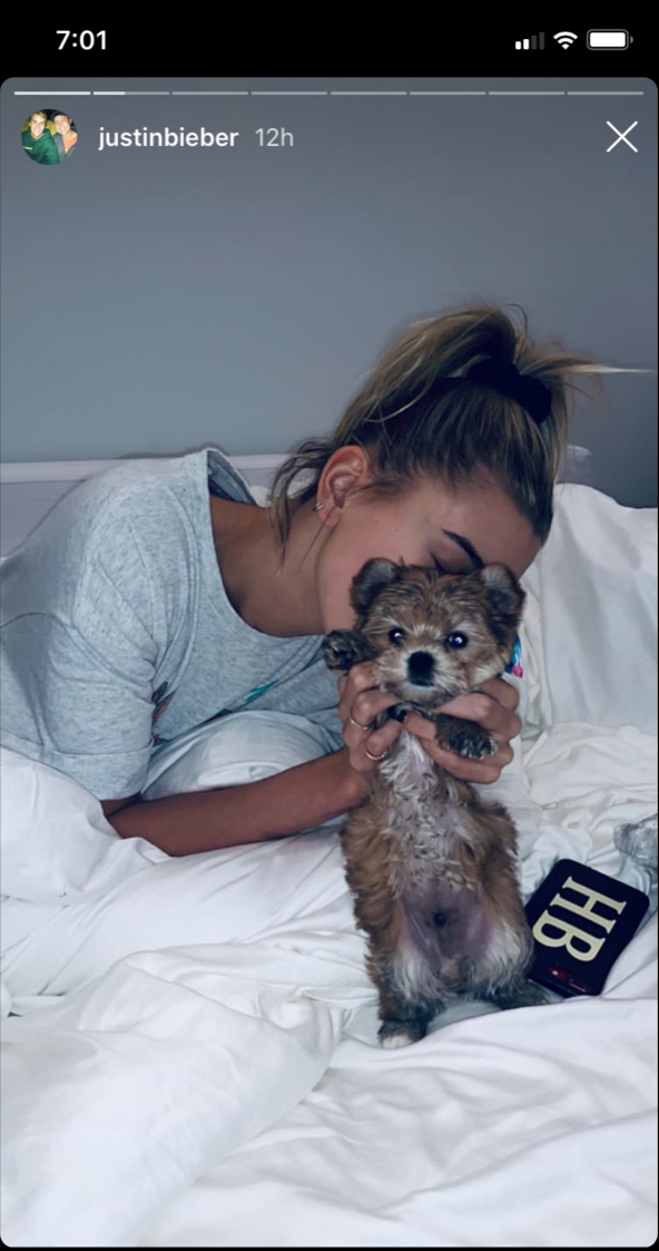 justin-beiber-hailey-baldwin-dog-oscar-christmas