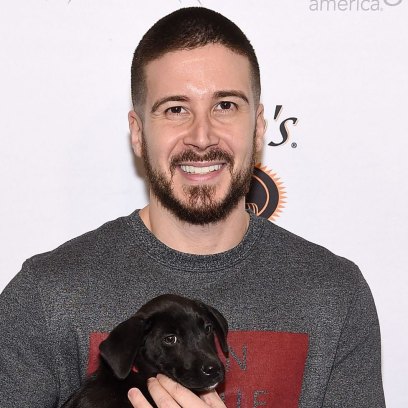 vinny guadagnino mike sorrentino jail sentence