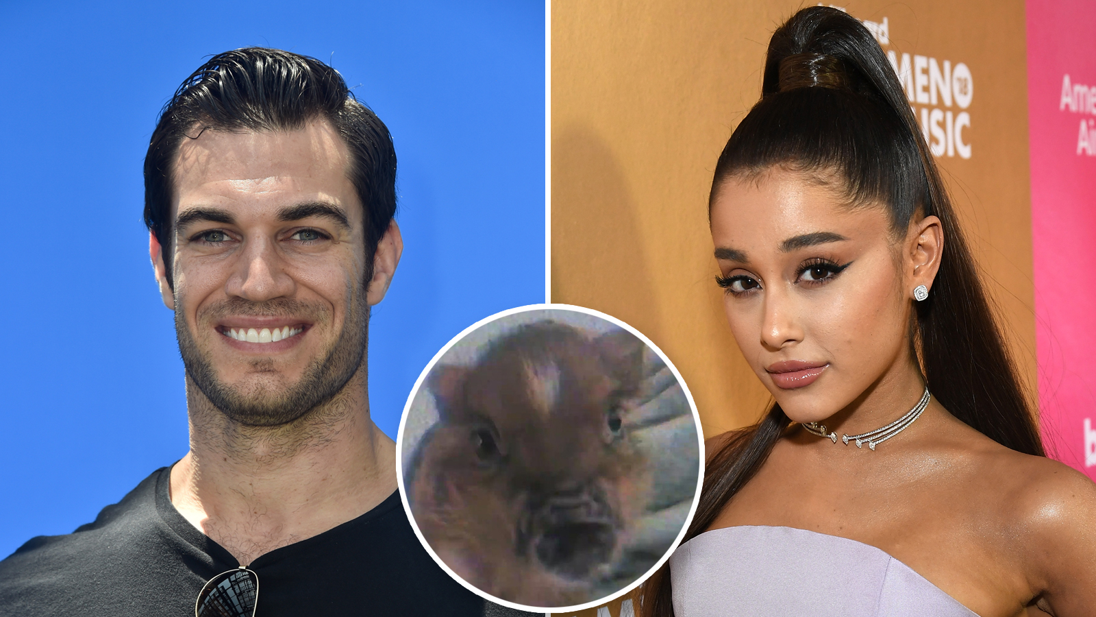 1600px x 900px - Sexy Vet Dr. Evan Antin Says Ariana Grande's Pig Will Probably Get Huge