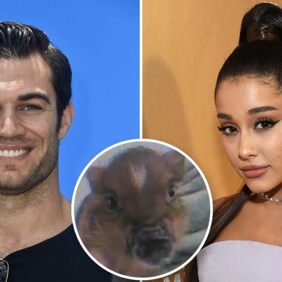 Sexy Veterinarian Dr. Evan Antin Says Ariana Grande Might Be In for A Big Surprise With Piggy Smallz