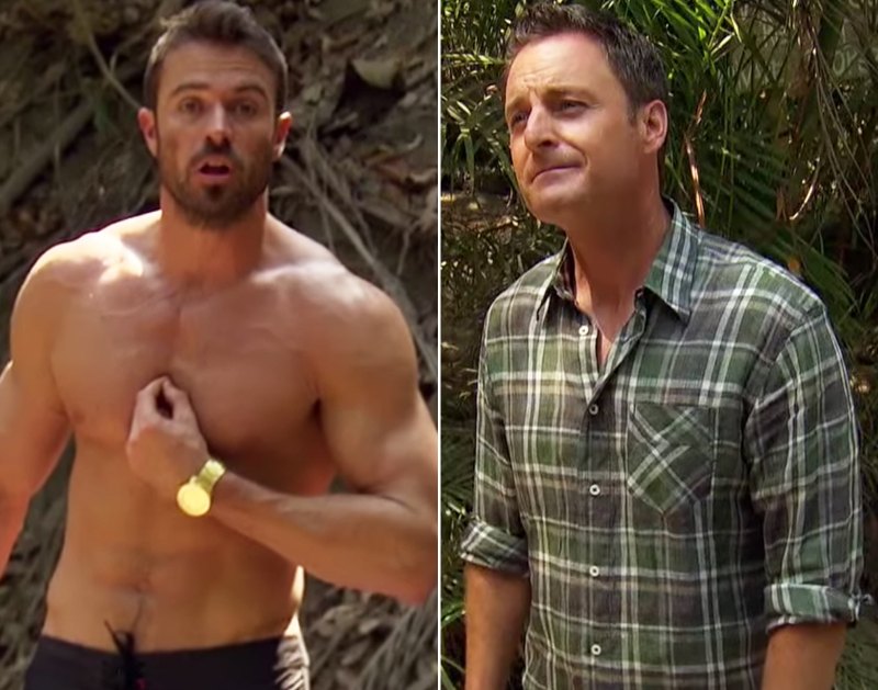 The Most Dramatic 'Bachelor' Nation Feuds: Demi Vs Tracy Isn't Even Top 5!