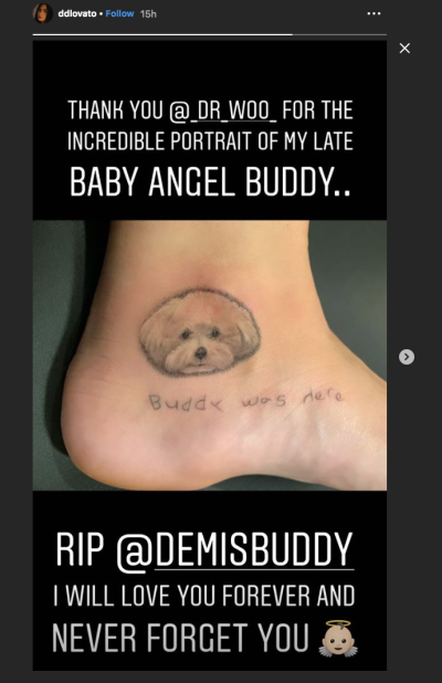 Demi Lovato's new tattoo of her late dog Buddy