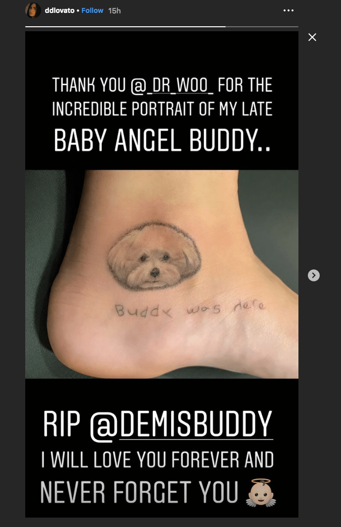 Demi Lovato's new tattoo of her late dog Buddy