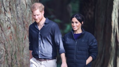 Prince Harry and Meghan Markle