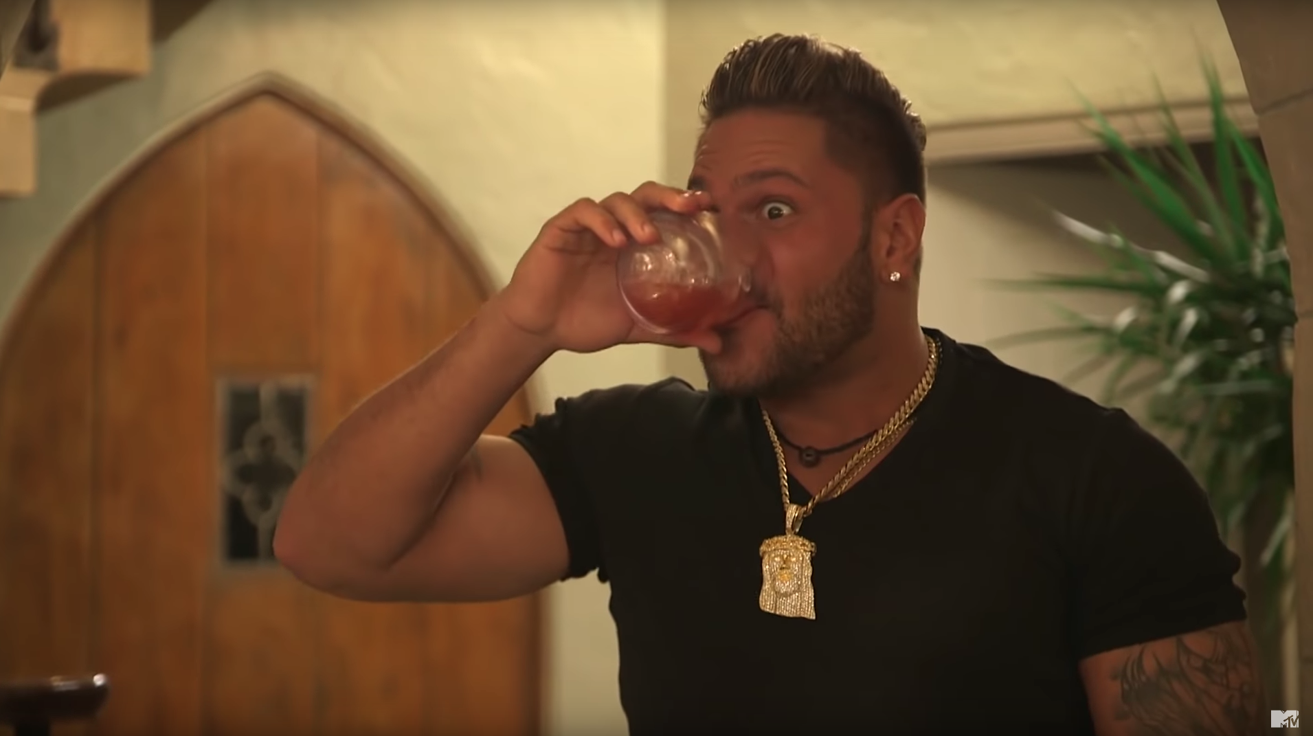 Ronnie Ortiz-Magro Jersey Shore