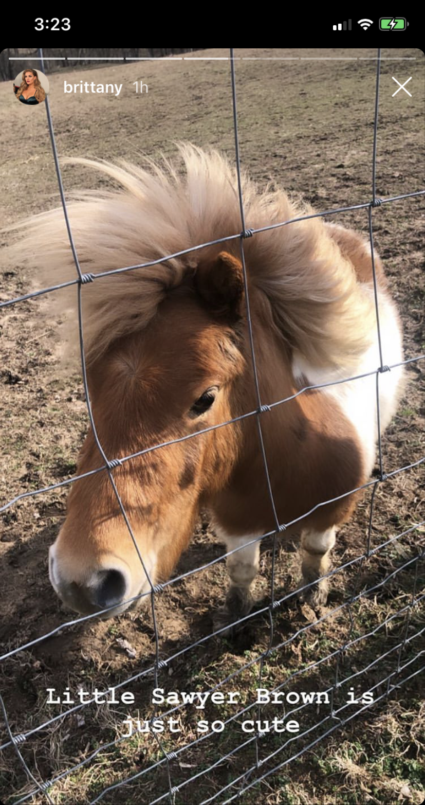 brittany-cartwright-jax-taylor-kentucky