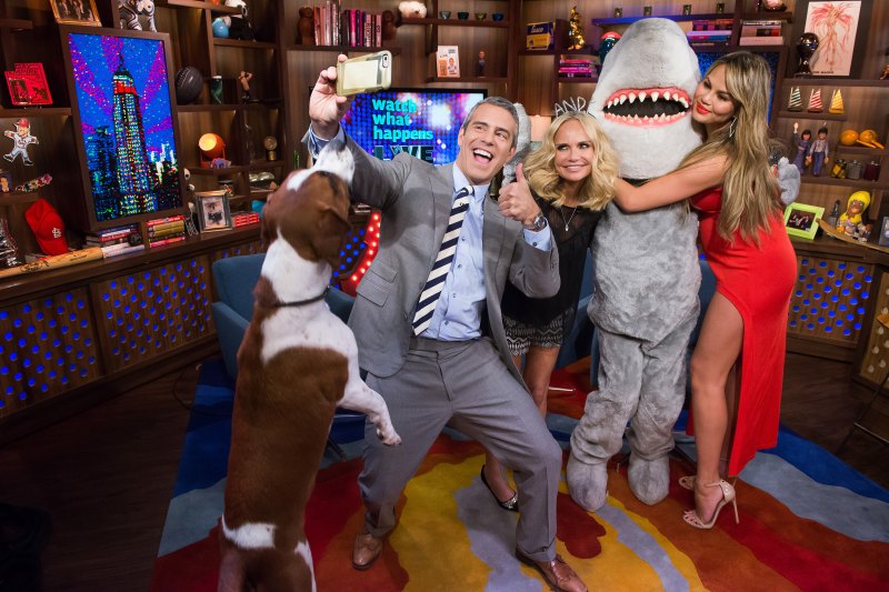 Animal Celebs Who Deserve an Oscar 19