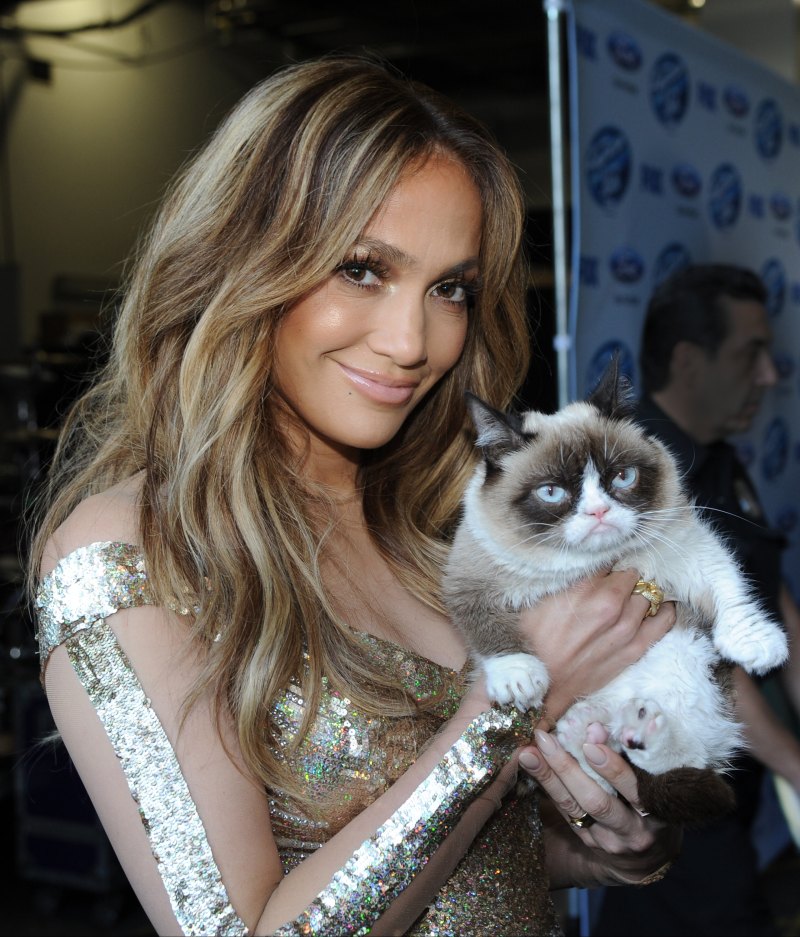 Animal Celebs Who Deserve an Oscar 2