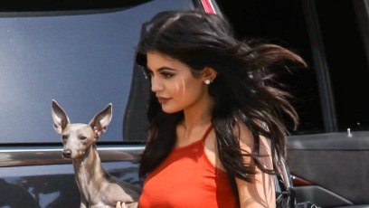 Norman Is Alive and Well, Y'all! Kylie Jenner Clears up Rumors Something 'Happened' to Her Dog