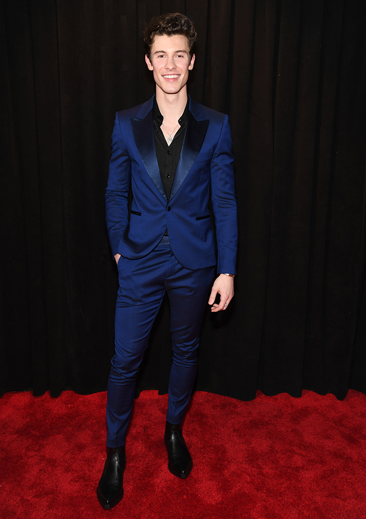 Shawn Mendes Grammys 2019