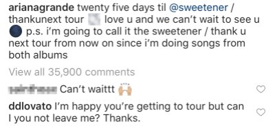 Demi Lovato comments on Ariana Grande's instagram