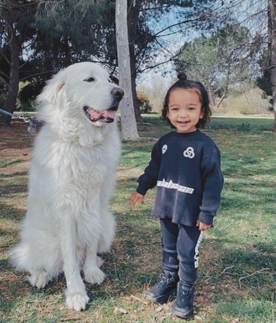 Chicago West Laughs in Black Outfit With Big White Dog