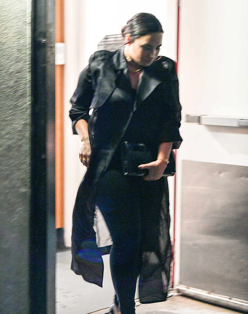 Demi Lovato Spotted Having Dinner With Friends Amid Henri Levy Breakup