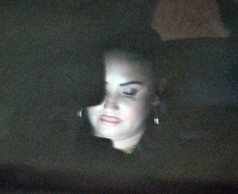 Demi Lovato Spotted Having Dinner With Friends Amid Henri Levy Breakup
