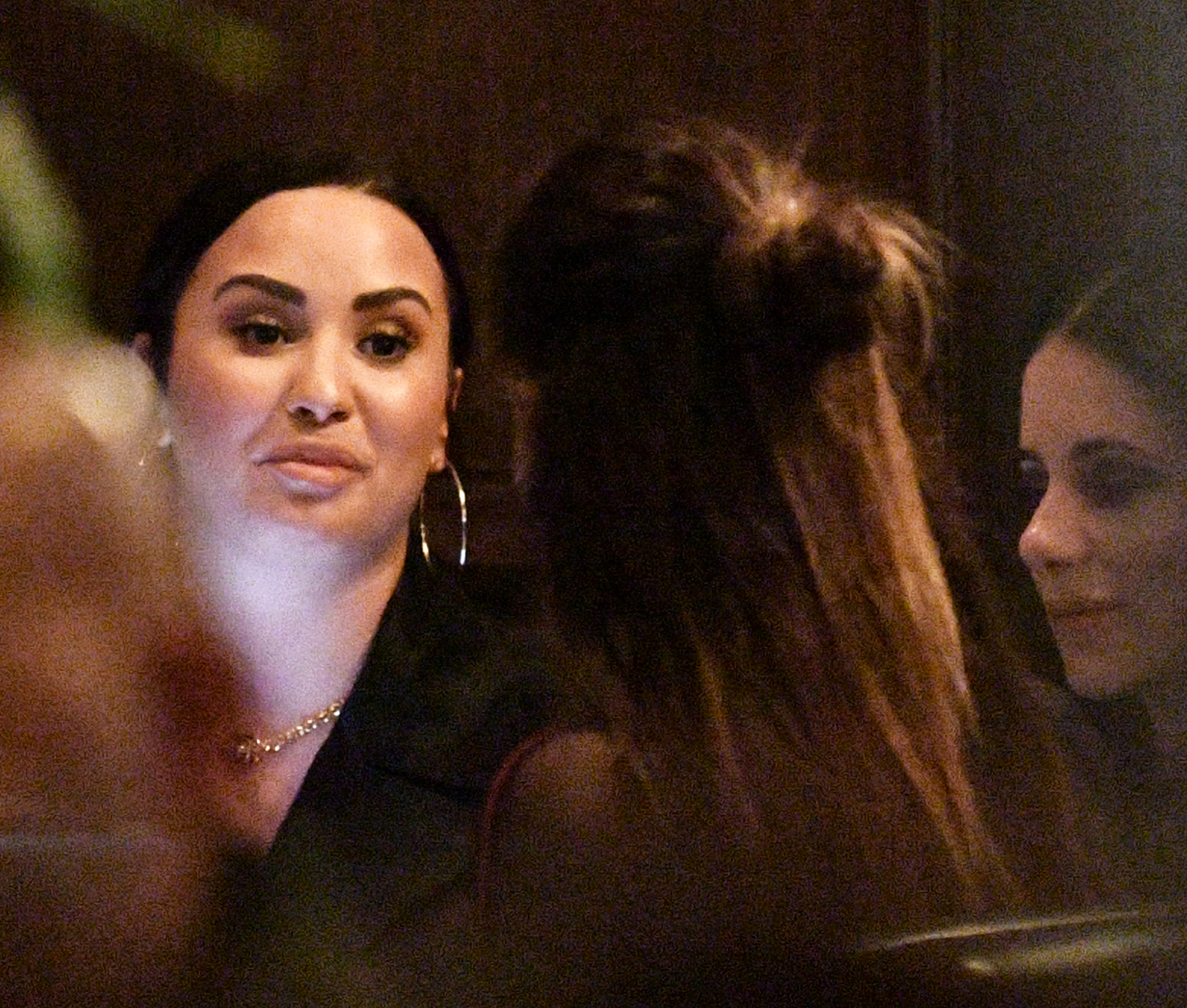 Demi Lovato Spotted Having Dinner With Friends Amid Henri Levy Breakup