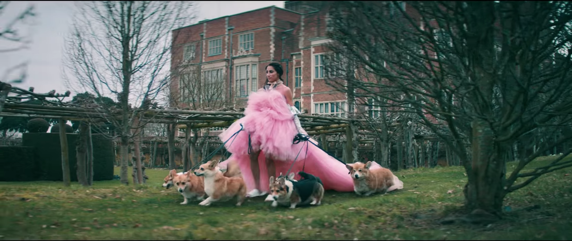 Jonas Brothers music video danielle jonas