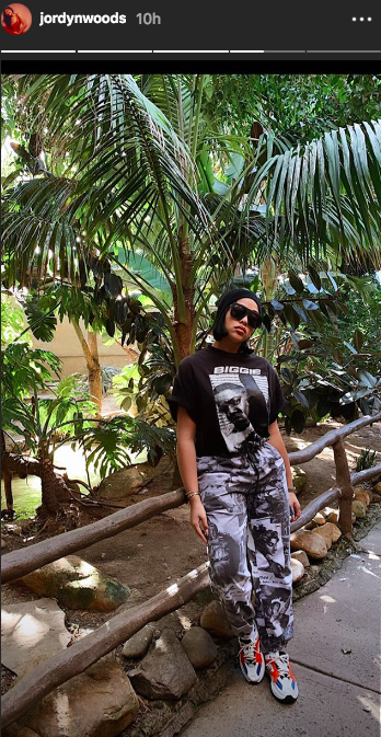 Jordyn Woods at the zoo instagram story