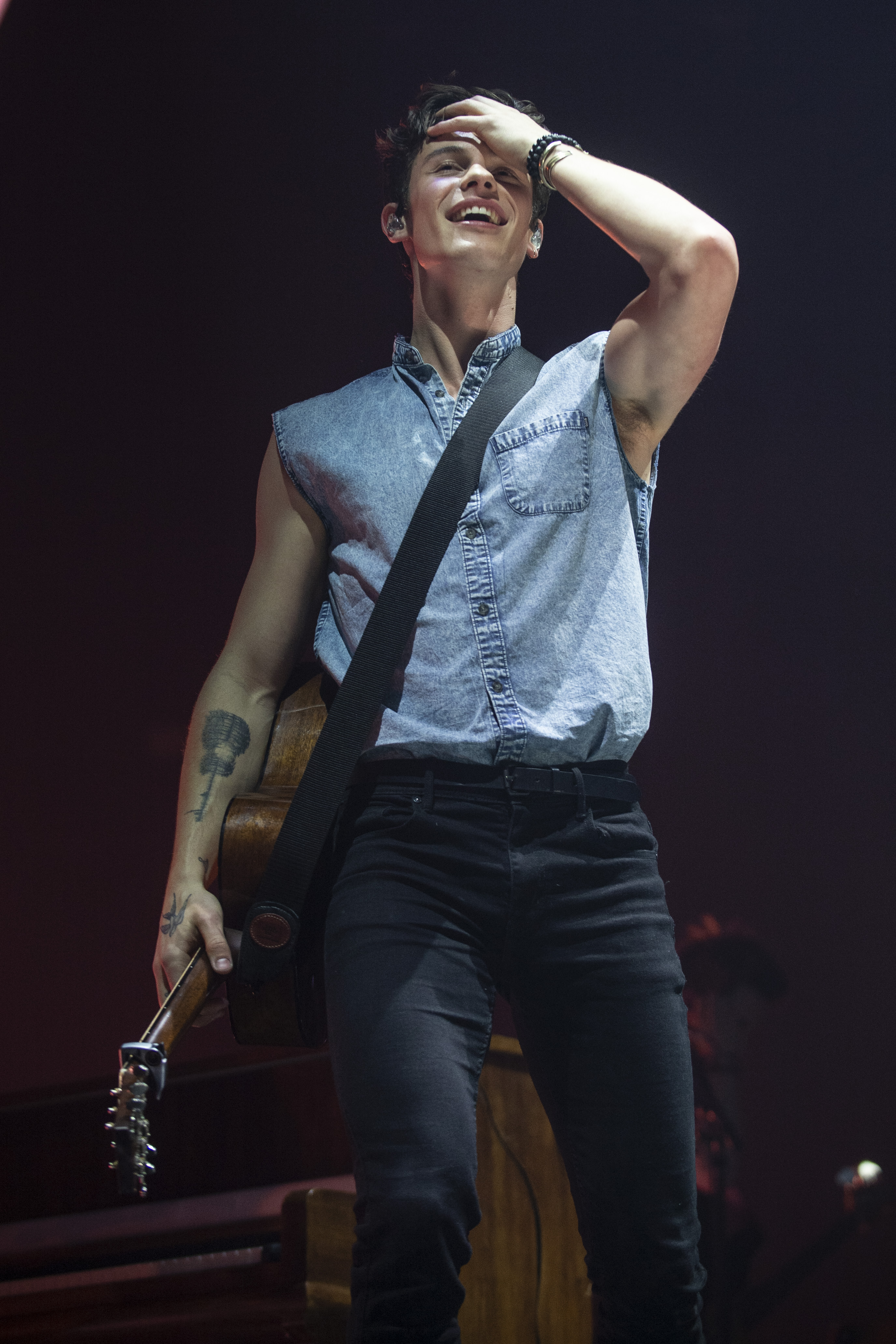 Shawn Mendes biceps