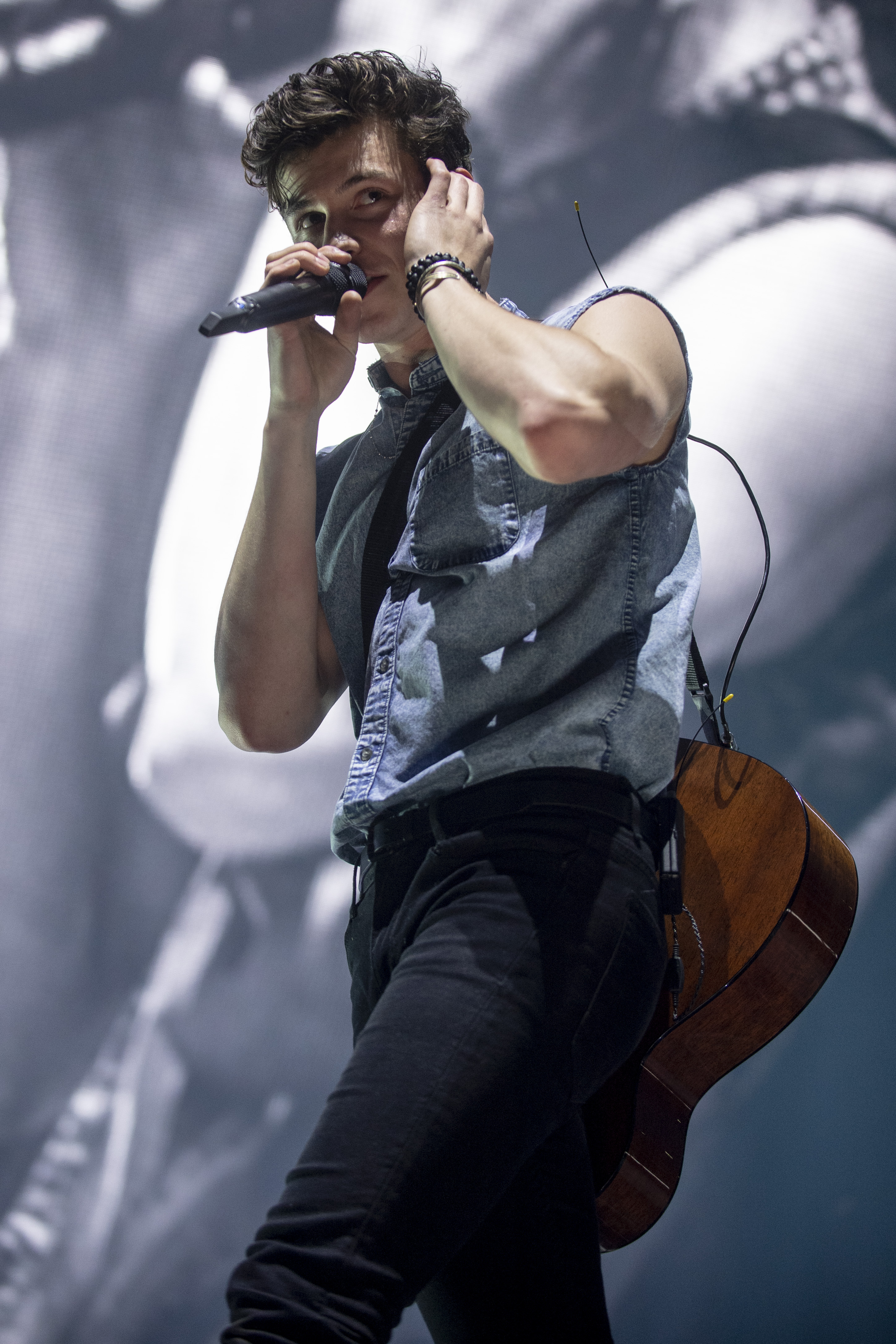 Shawn Mendes biceps 5