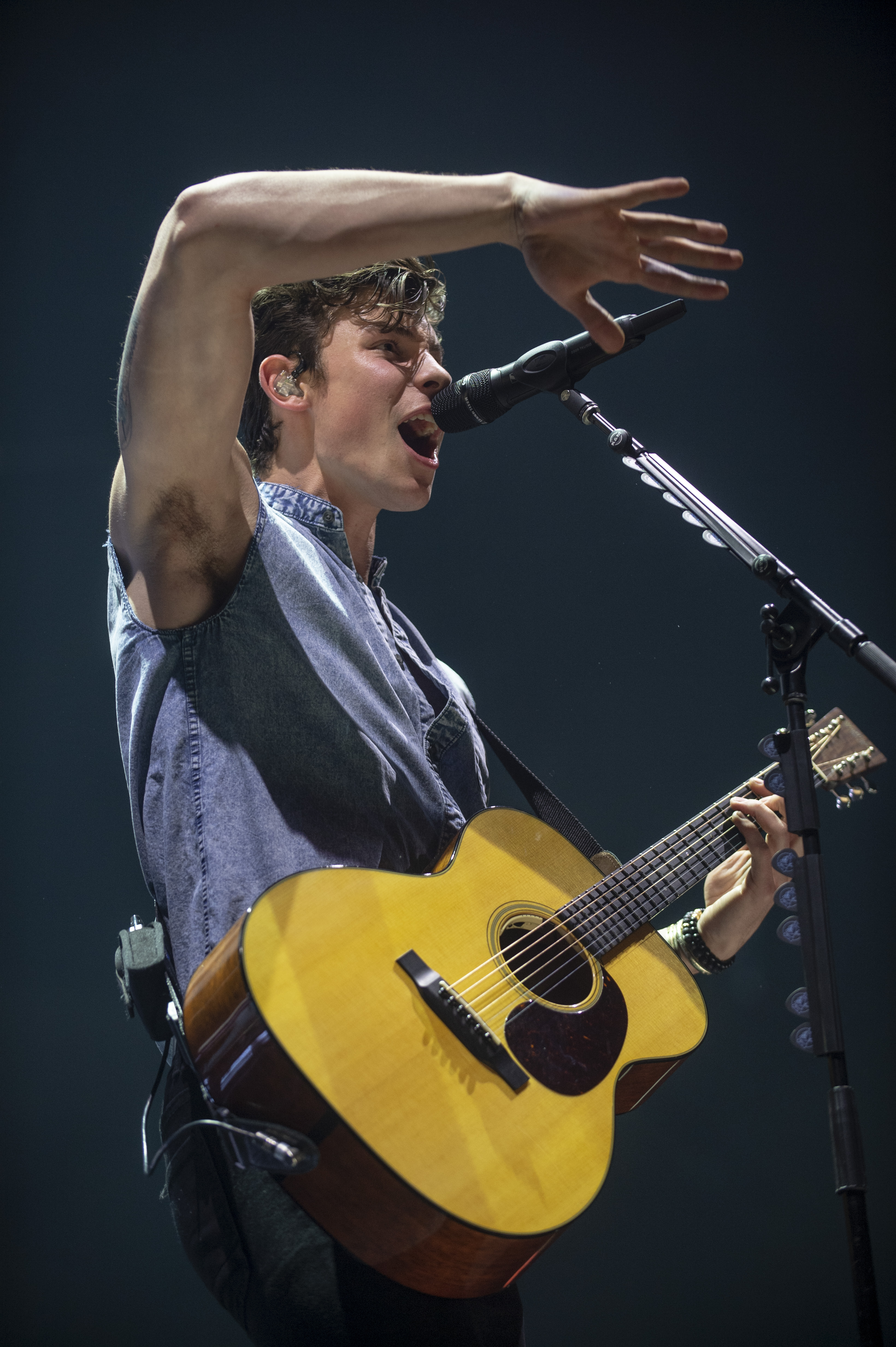 Shawn Mendes biceps 6