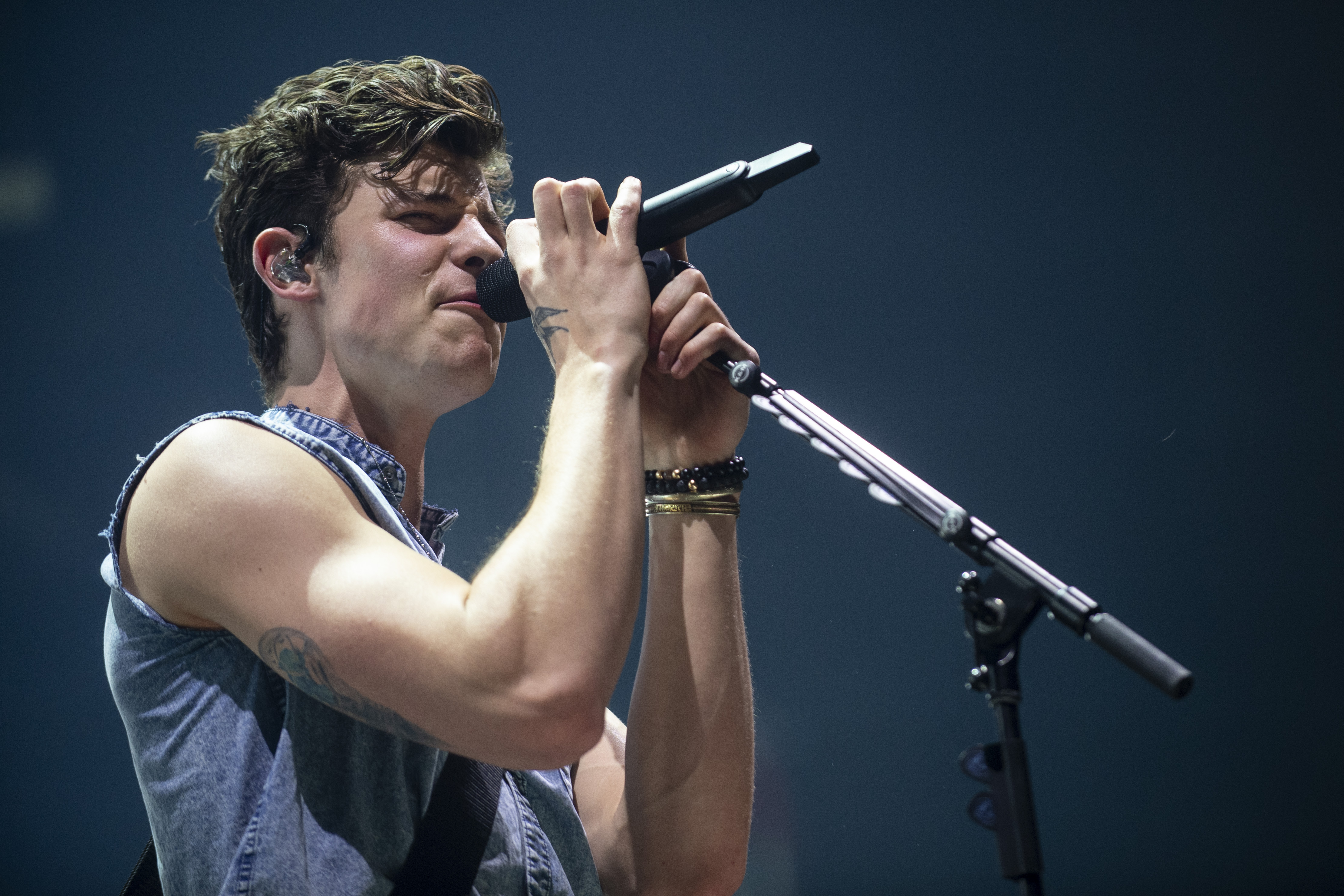 Shawn Mendes biceps 7