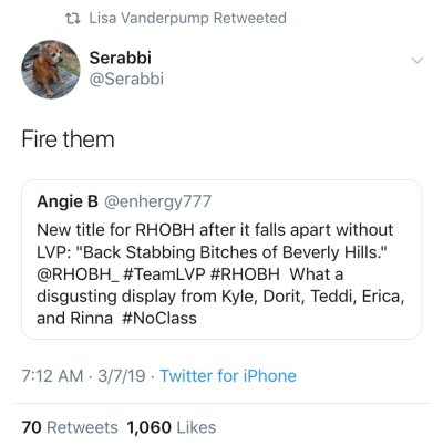 lisa vanderpump rhobh real housewives of beverly hills cast