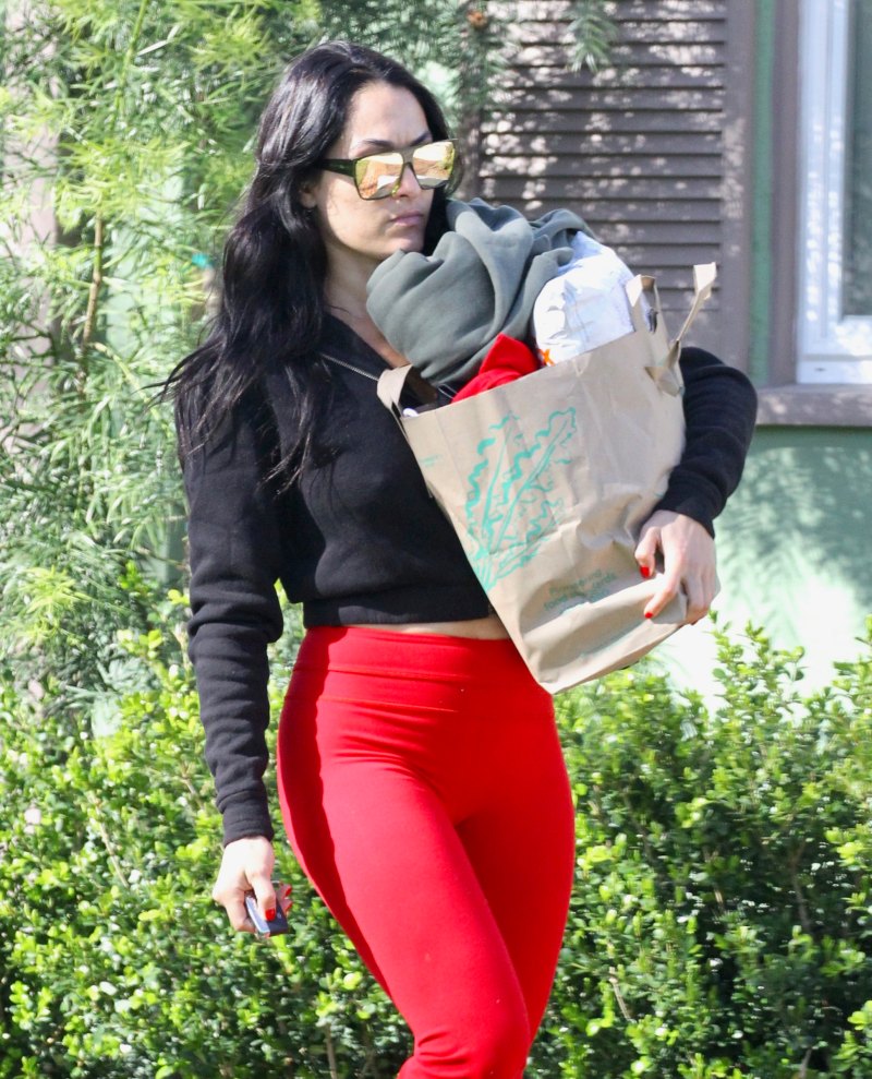 nikki bella artem chigvintsev wwe dancing with the stars