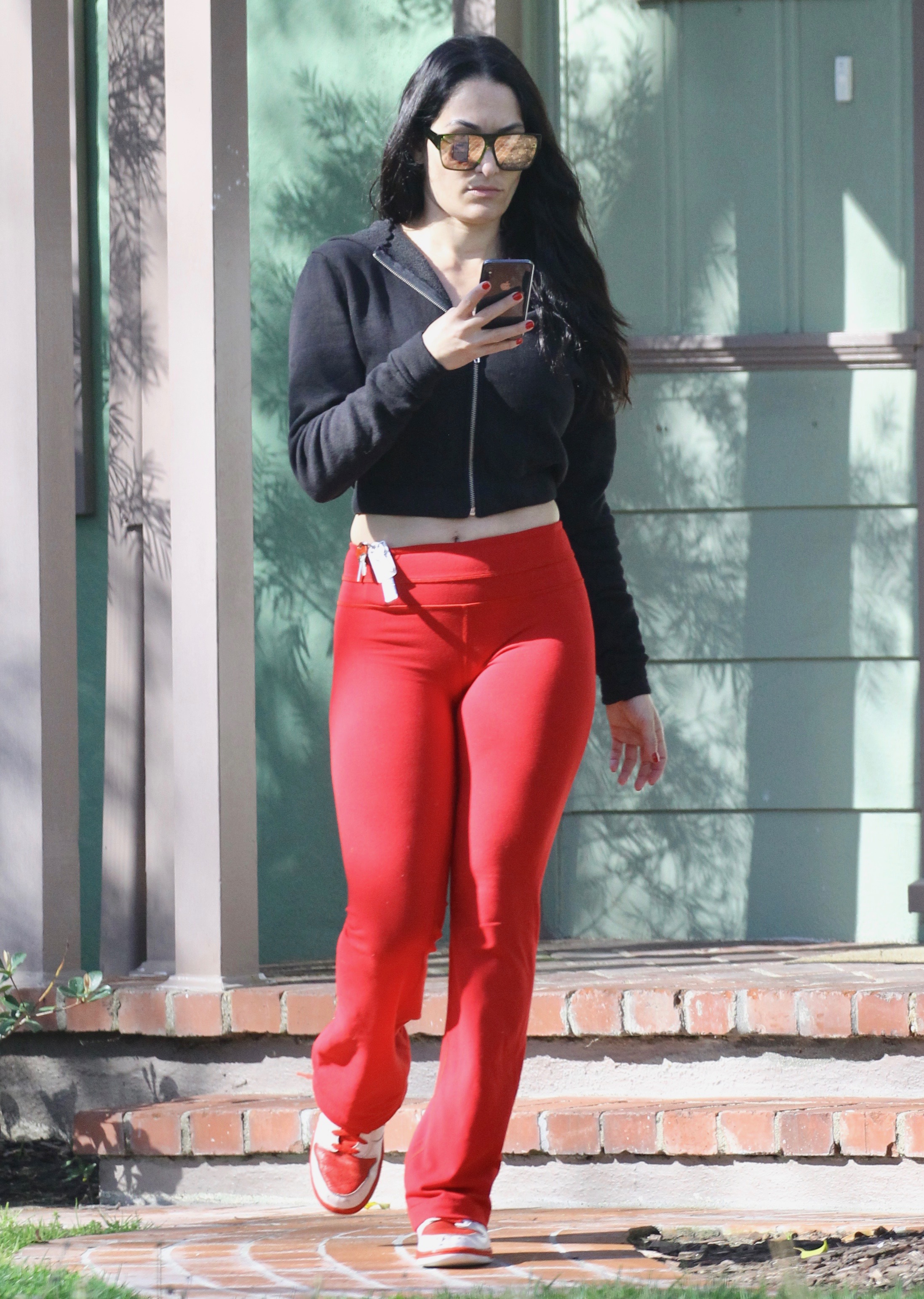 nikki bella artem chigvintsev wwe dancing with the stars