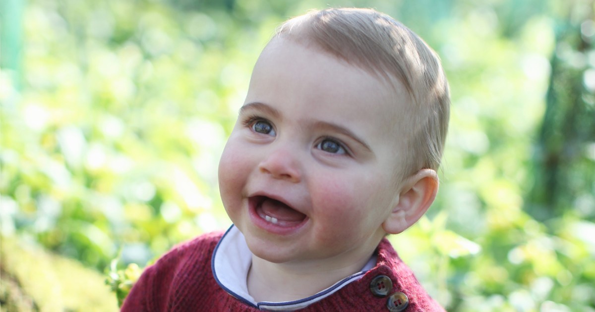 Prince Louis&#39; First Birthday Portraits Are Too Cute! See Pics