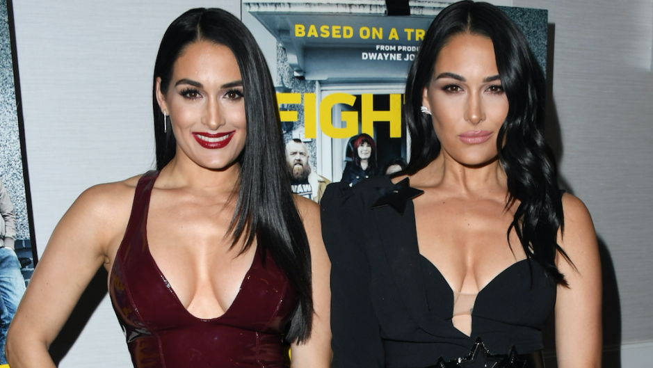 Nikki and Brie Bella posing together.